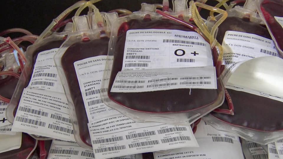 Abengourou / Le centre de transfusion sanguine va mobiliser 6000 poches de sang