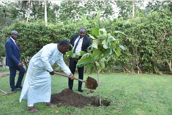 À l’occasion de la Journée Nationale de la Paix, Monsieur, le Ministre de la Santé et de l'Hygiène Publique, Dr AKA AOUELE a procédé à un planting d’arbres.