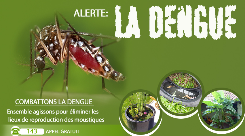 Lutte contre la Dengue