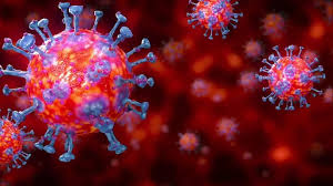 7 nouveaux cas confirmés de la maladie à coronavirus COVID-19 ont été enregistrés, portant à 80, le nombre cas confirmés.